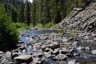 DSC_3623 (Large).JPG